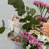 Hey Tilly Wildflower Seed Packet
