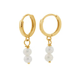 Laura Pearl Earrings in Gold