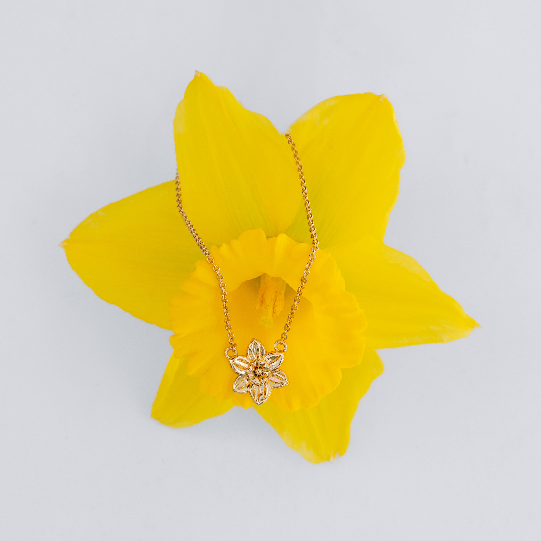 Gold necklace with a flower pendant on a yellow flower against a light gray background