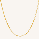Gia Large Rolo Necklace - Gold