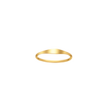 Signet Ring in Gold