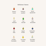 A chart titled 'Birthstone Charms' showing twelve small round pendant charms arranged in a grid, each labeled with its corresponding month and stone name: January Garnet, February Amethyst, March Aquamarine, April Diamond, May Emerald, June Alexandrite, July Ruby, August Peridot, September Sapphire, October Tourmaline, November Citrine, and December Turquoise.