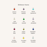 Birthstone charm list in silver