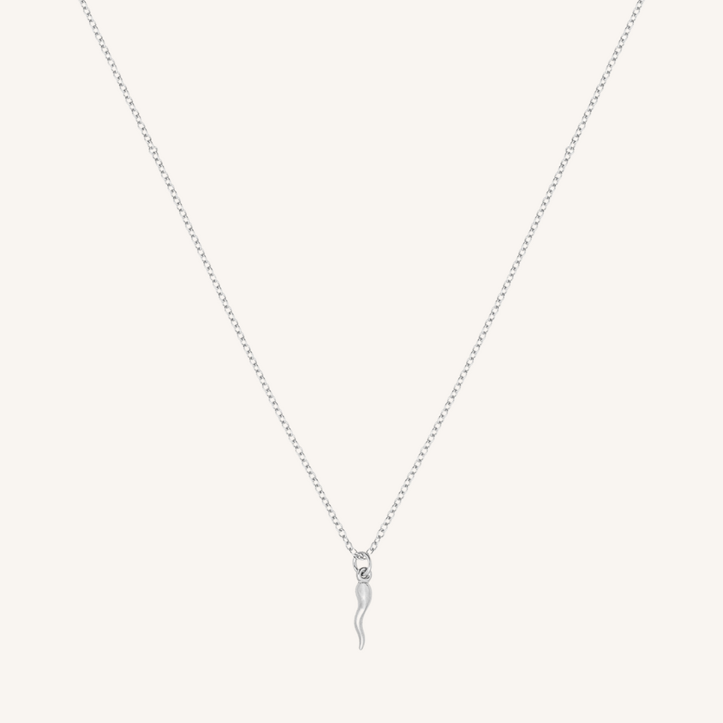 Chilli Necklace - Silver