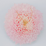 November Birth Flower Necklace  - Chrysanthemum - 14k Gold Filled
