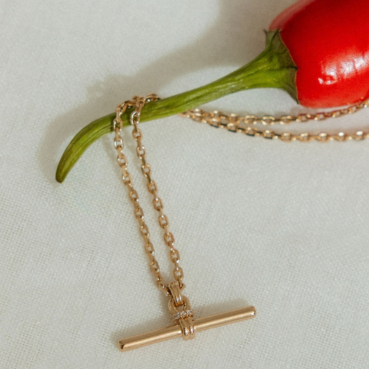 A delicate gold-tone necklace with a bar clasp pendant, draped over a green chili pepper stem on a textured off-white fabric background.