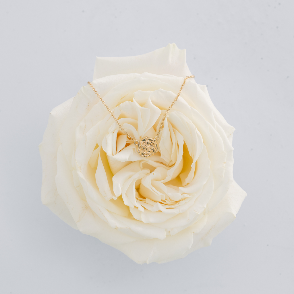 Necklace draped over a white rose on a light gray background