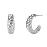 Luna Earrings in Silver
