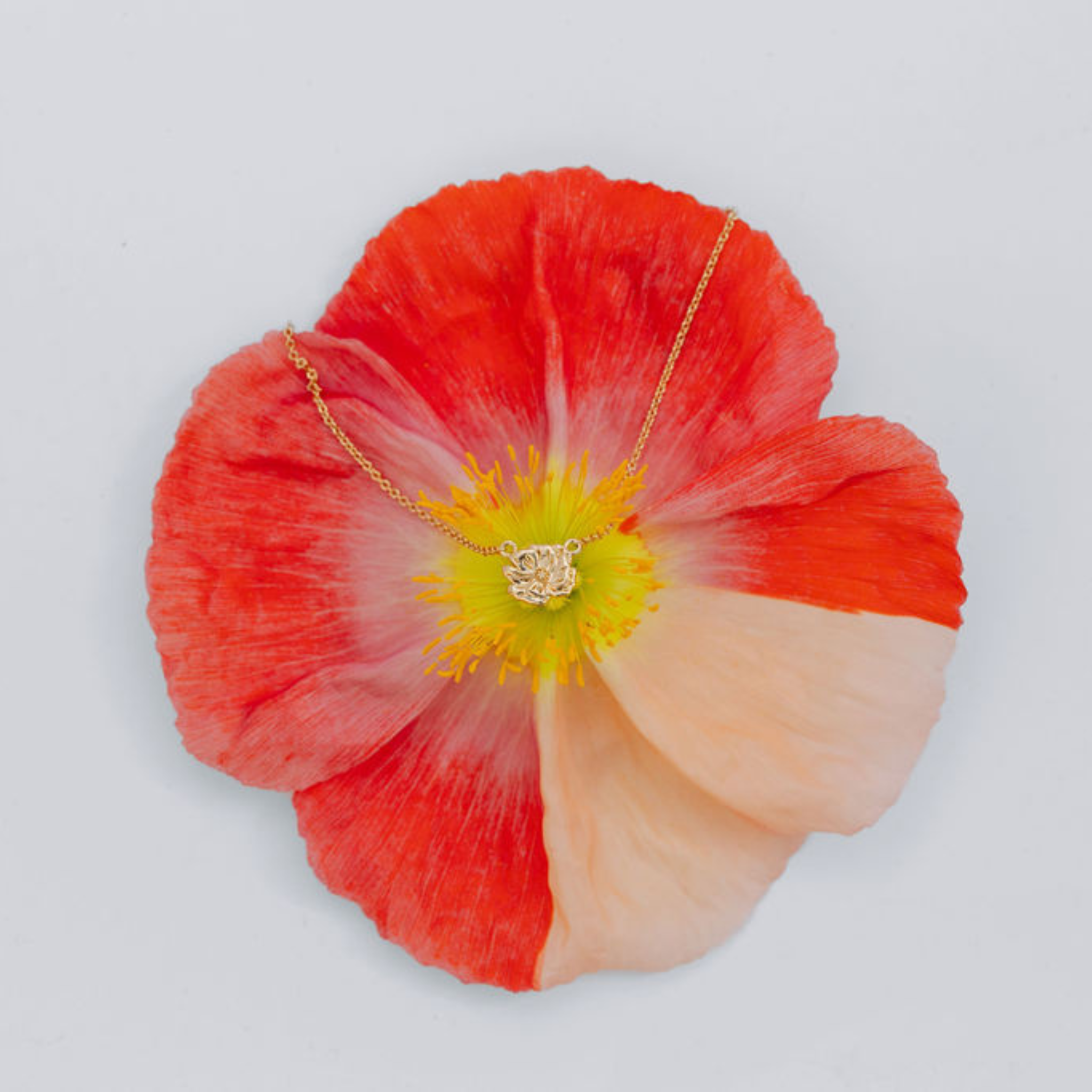 Floral arrangement with a necklace on a light gray background