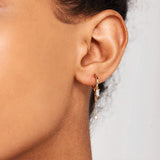 Sabrina Chain Hoops in Gold