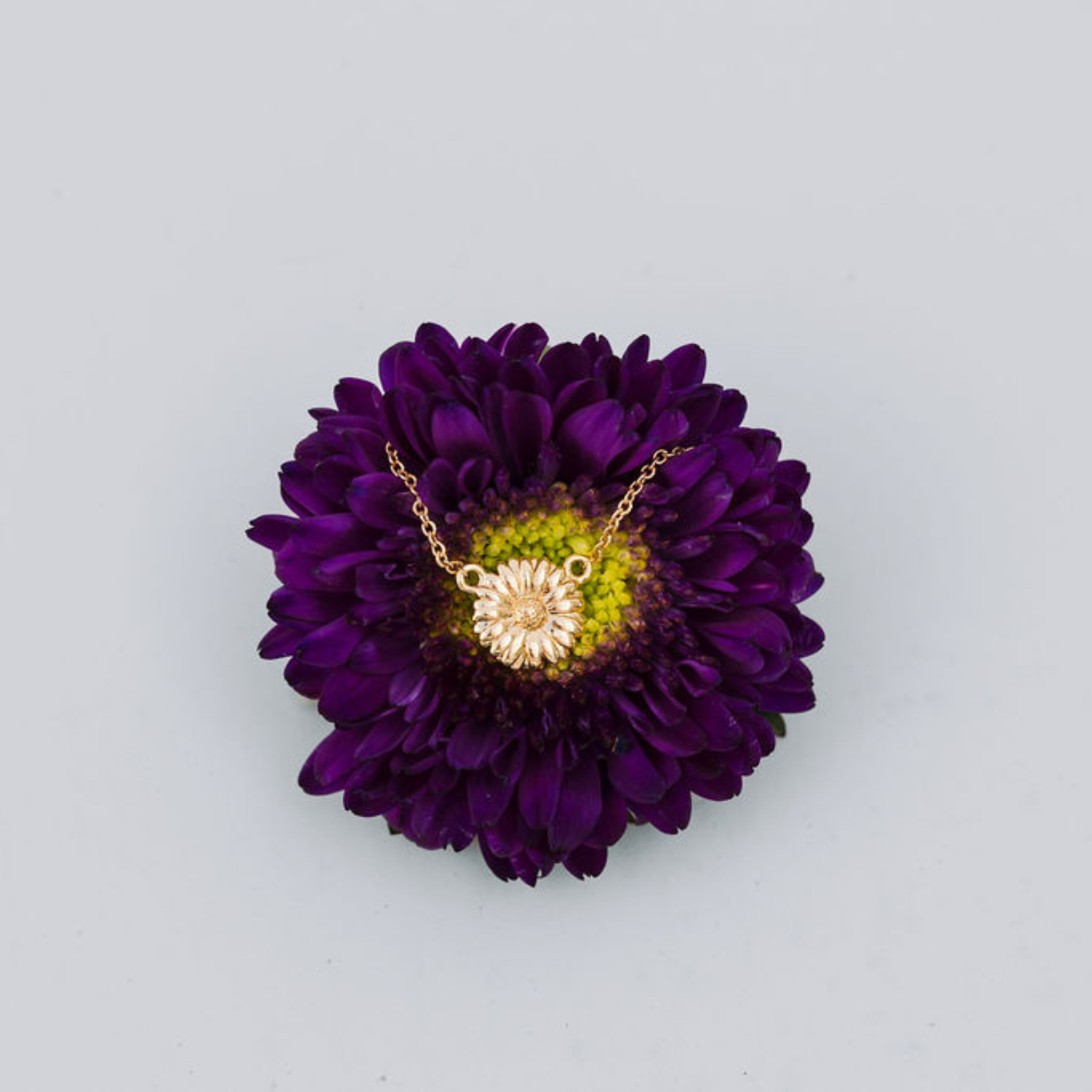 Gold necklace displayed on a purple flower with a light gray background