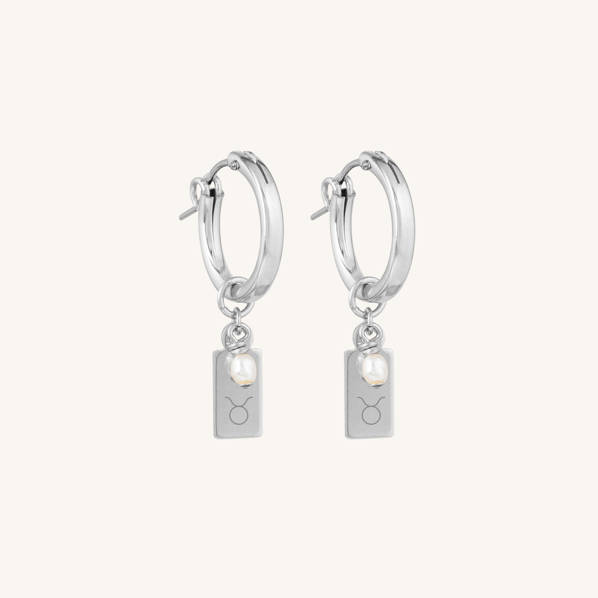 Star Sign Earrings - Silver